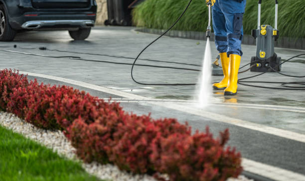 Best Driveway Pressure Washing  in Wildewood, MD